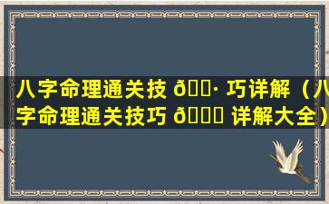 八字命理通关技 🌷 巧详解（八字命理通关技巧 🐛 详解大全）